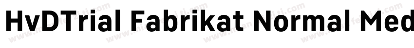 HvDTrial Fabrikat Normal Medium字体转换